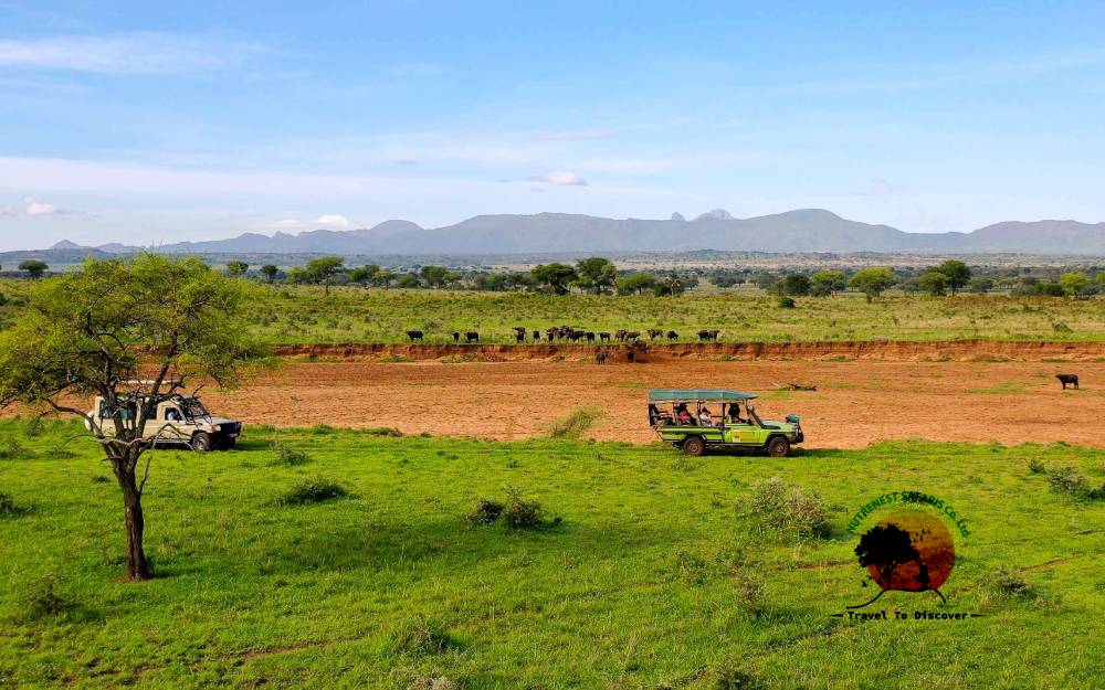 Uganda Wildlife Safaris