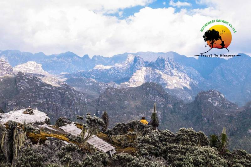 Rwenzori Mountains