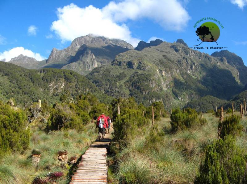 Rwenzori National park