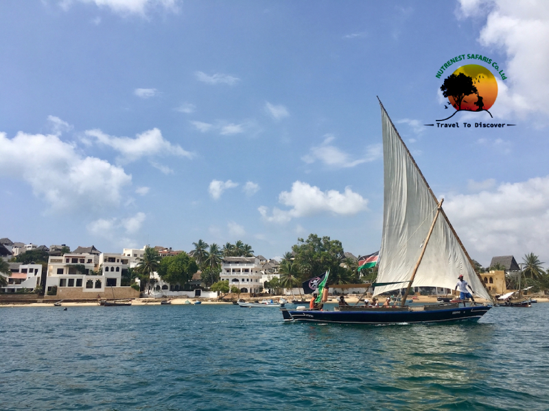 Dhow Sailing in Lamu Archipelago