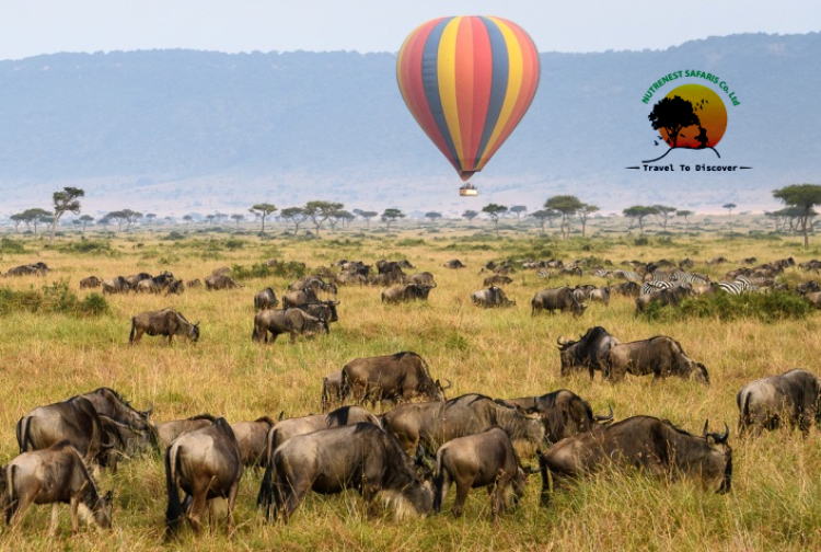 Hot Air Ballooning over the Maasai Mara