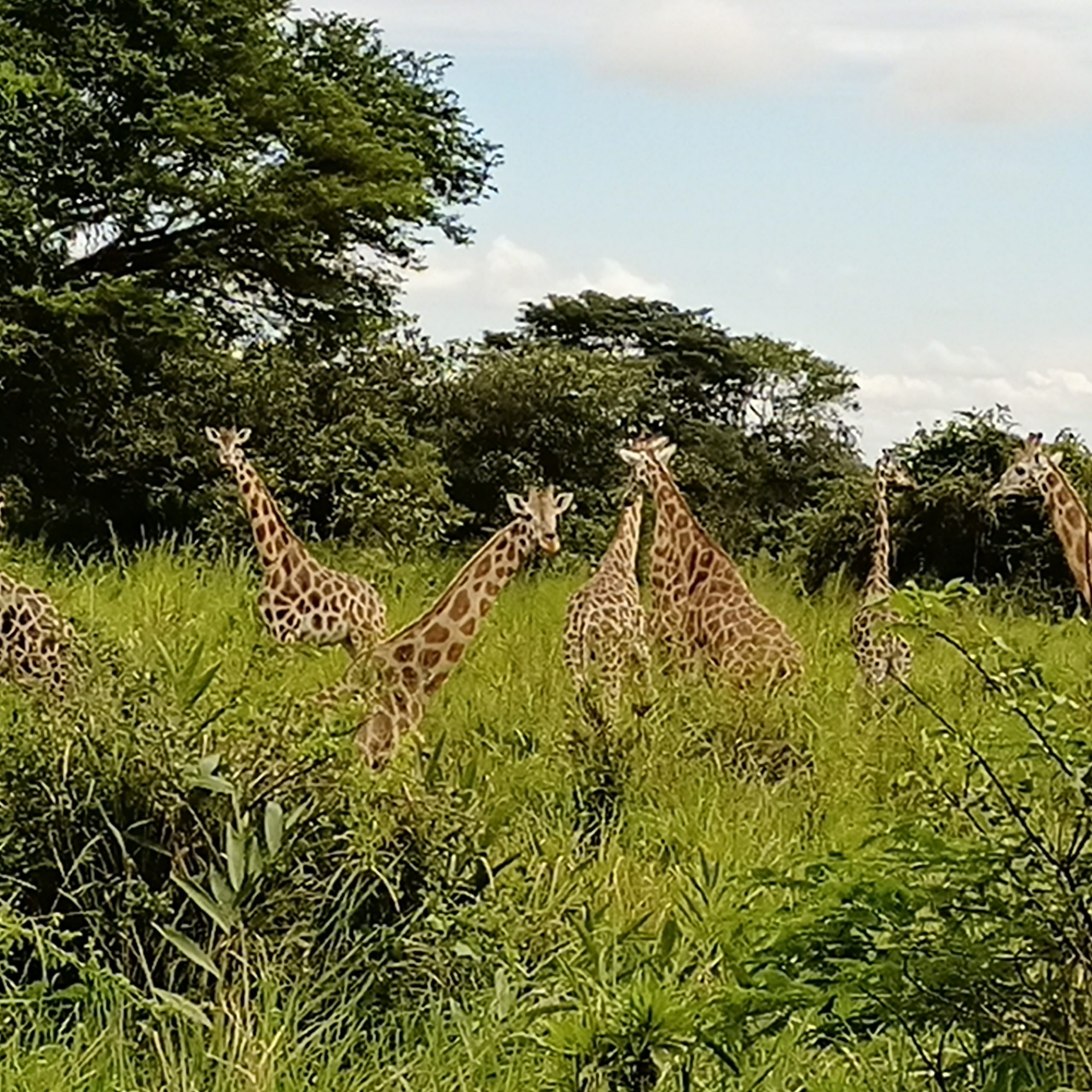 Akagera Rwanda Safari