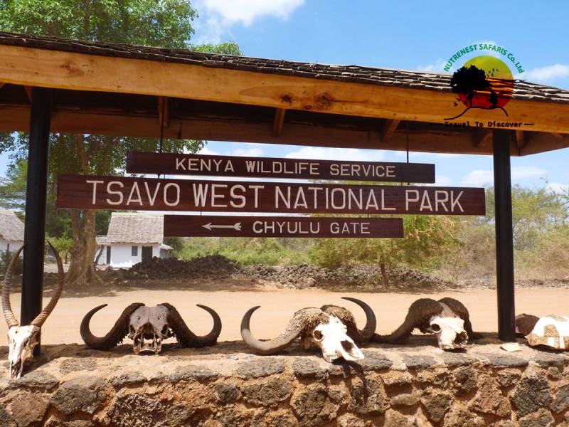 Tsavo National Park