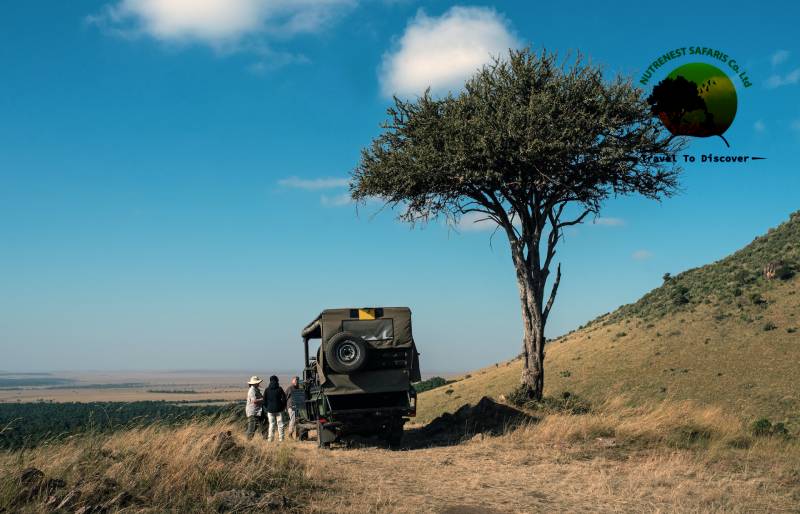 unforgettable safari experience