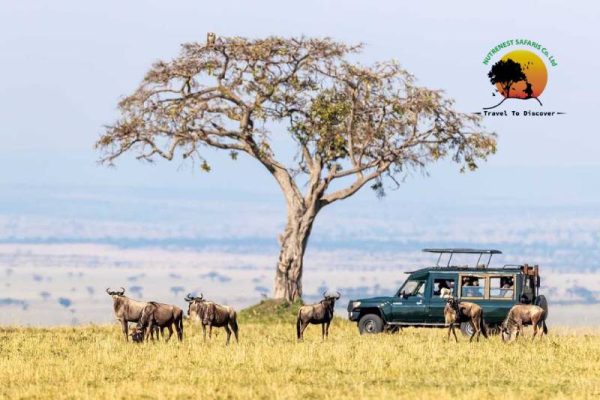 7-DAYS-KENYA-LUXURY-FAMILY-SAFARI