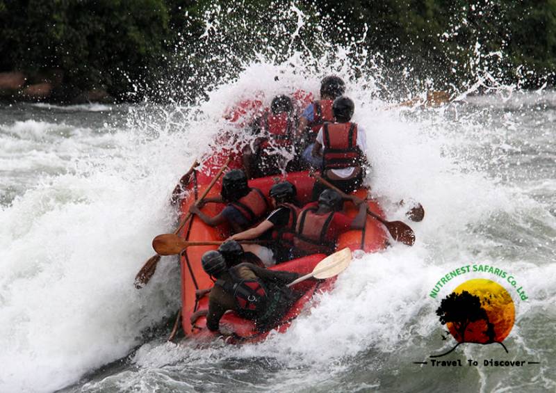 Water Rafting Adventure