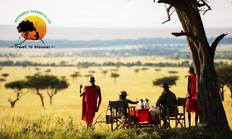 Maasai Mara Tour