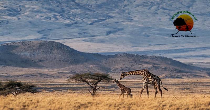 Sacred Sites and Natural Landmarks