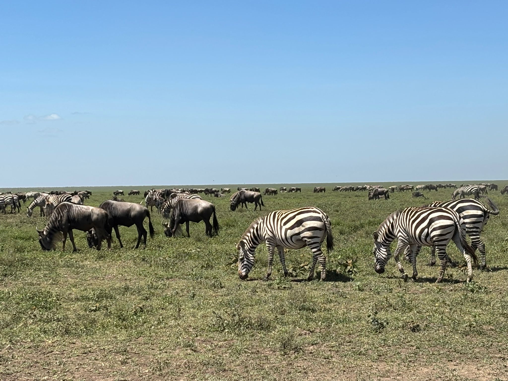 Serengeti National Park