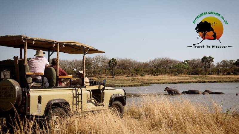 self drive safari in tanzania