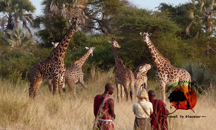 walking safari in tanzania